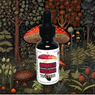 Amanita 5/1 Traditional Tincture | Alcohol | 1 Ounce