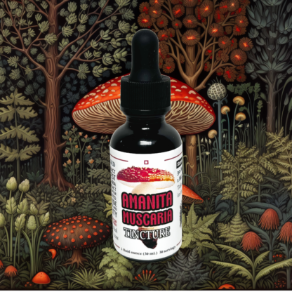 Amanita 5/1 Traditional Tincture | Alcohol | 1 Ounce